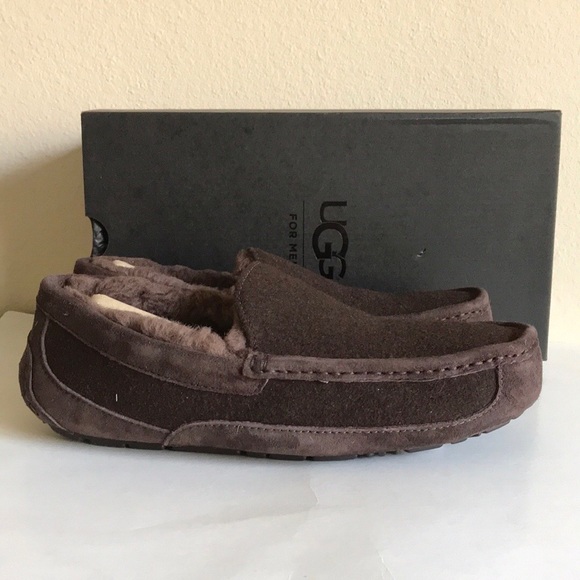 NEW UGG Men’s Ascot Lined Slipper - Picture 8 of 12